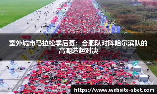 sbet实博官网